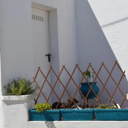 Homestay Sunday Every Day