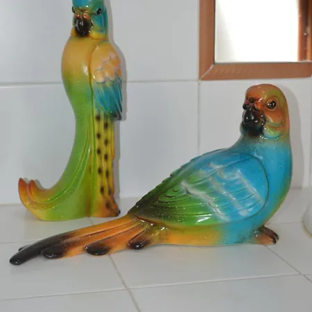 Sunday Every Day Homestay Olho Marinho